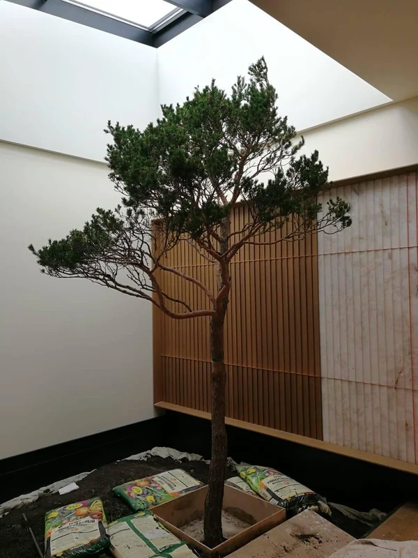 Дом в коттеджном поселке "Резиденции Бенилюкс"